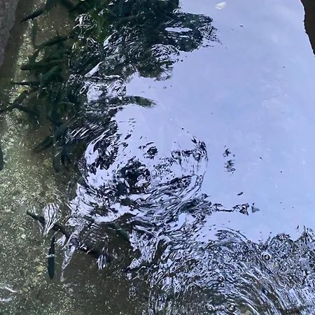 Etno House Stari Mlin Nyaraló Konjic