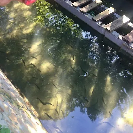 Prázdninový dům Etno House Stari Mlin *